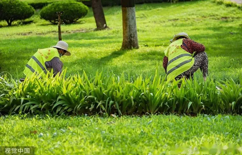 阳西县荣禧花园绿化工程